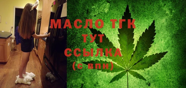 мет Инта