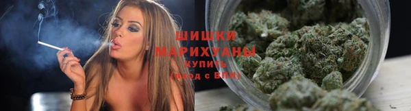 a pvp Иннополис
