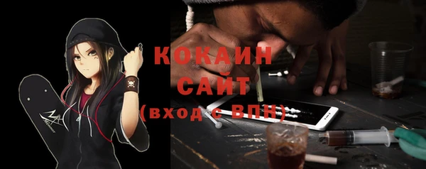амф Инсар