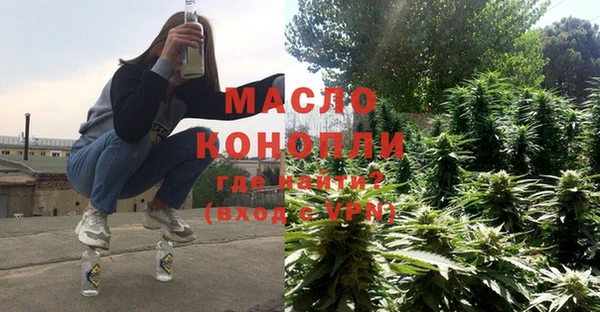 мет Инта