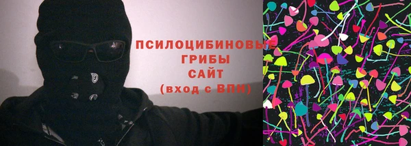 амф Инсар
