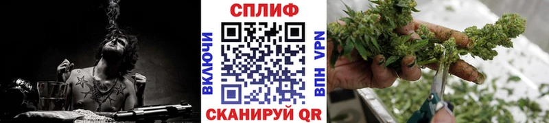 Купить закладки  Далматово  Шишки марихуана AK-47 